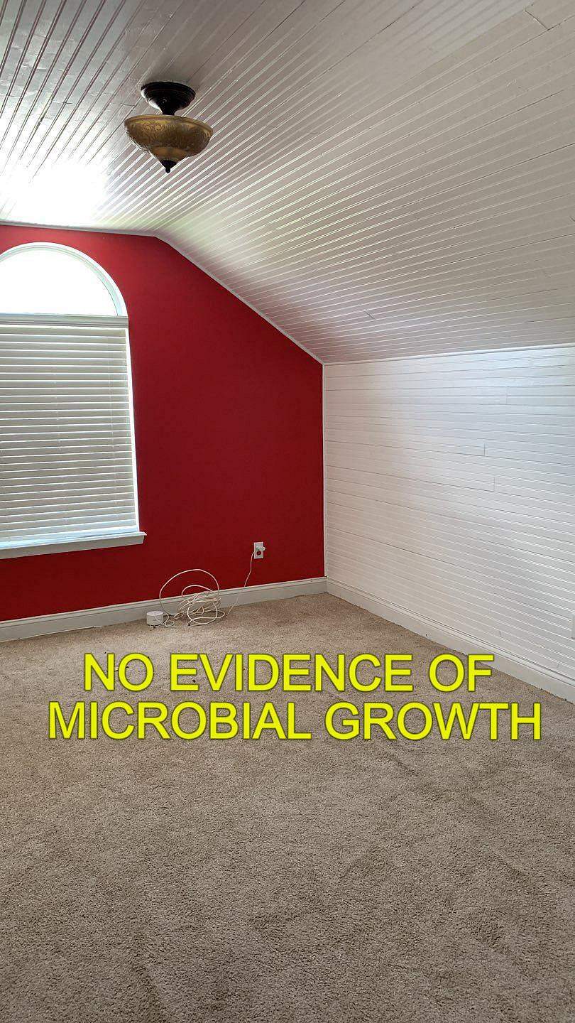no microbial growth
